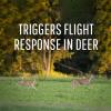 imageSafer 5962 DeerOff Deer Repellent Stations  6 Waterproof Deer Repelling Stakes for Gardens and Lawns  All Season Protection423 Oz