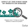 imageSafer Brand 51826 Neem Oil Concentrate Insecticide Miticide Fungicide for Plants  Kills Insects and Mites and Controls Fungal Disease  OMRI Listed for Organic Use