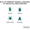 imageSafer Brand 51826 Neem Oil Concentrate Insecticide Miticide Fungicide for Plants  Kills Insects and Mites and Controls Fungal Disease  OMRI Listed for Organic Use