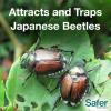 imageSafer Brand 70102 Japanese Beetle Trap with Attractant1 Count  Pack of 1