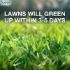 imageSafer Brand 9335SR Lawn Restore Natural Lawn Fertilizer  NonBurning Fertilizer  902 NPK  Covers up to 5000 Sq Ft20 Pounds