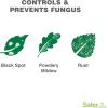 imageSafer Brand Garden SG5180 Insect Killing Fungicide Miticide and Insecticide Neem Oil Spray  Kills Insects ampamp Mites  Controls ampamp Prevents Fungal Disease  OMRI Listed for Organic Use  24 oz