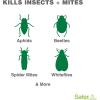 imageSafer Brand Garden SG5452 3in1 ReadytoUse Fungicide Miticide and Insecticide Spray  Kills Insects ampamp Mites  Controls ampamp Prevents Fungal Diseases  OMRI Listed for Organic Gardening  24 oz