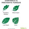 imageSafer Brand Garden SG5452 3in1 ReadytoUse Fungicide Miticide and Insecticide Spray  Kills Insects ampamp Mites  Controls ampamp Prevents Fungal Diseases  OMRI Listed for Organic Gardening  24 oz