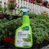 imageSafer Brand insect Killing Soap 32oz RTU  6 pack 511061 Pack