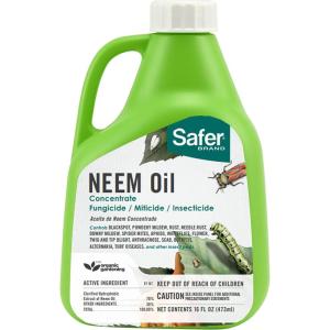 imageSafer Brand 51826 Neem Oil Concentrate Insecticide Miticide Fungicide for Plants  Kills Insects and Mites and Controls Fungal Disease  OMRI Listed for Organic Use