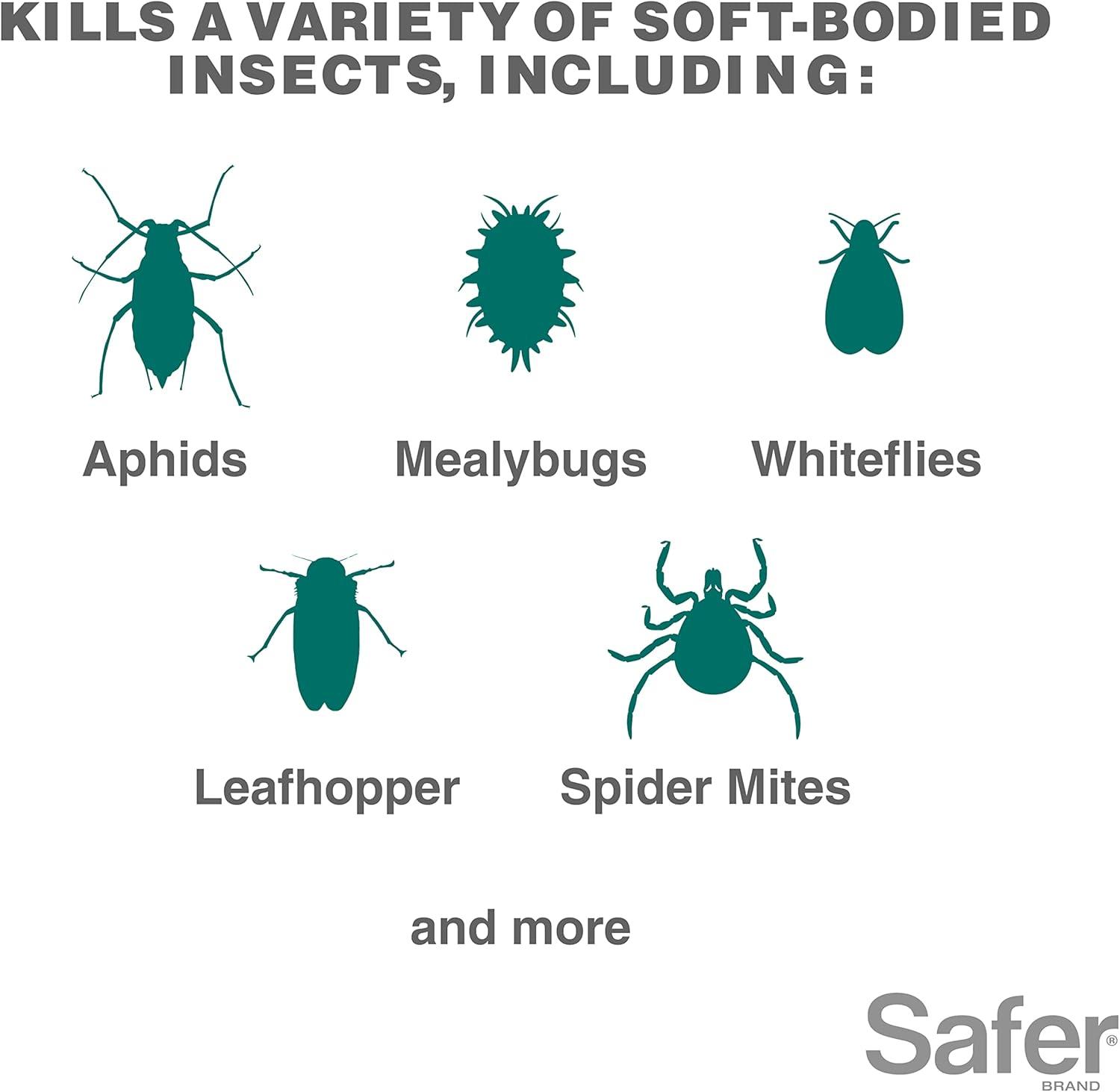 imageSafer 51186 Insect Killing Soap Concentrate  Insecticidal Soap for Plants  Kills Aphids Whiteflies Thrips Spider Mites and More  OMRI Listed for Organic Use