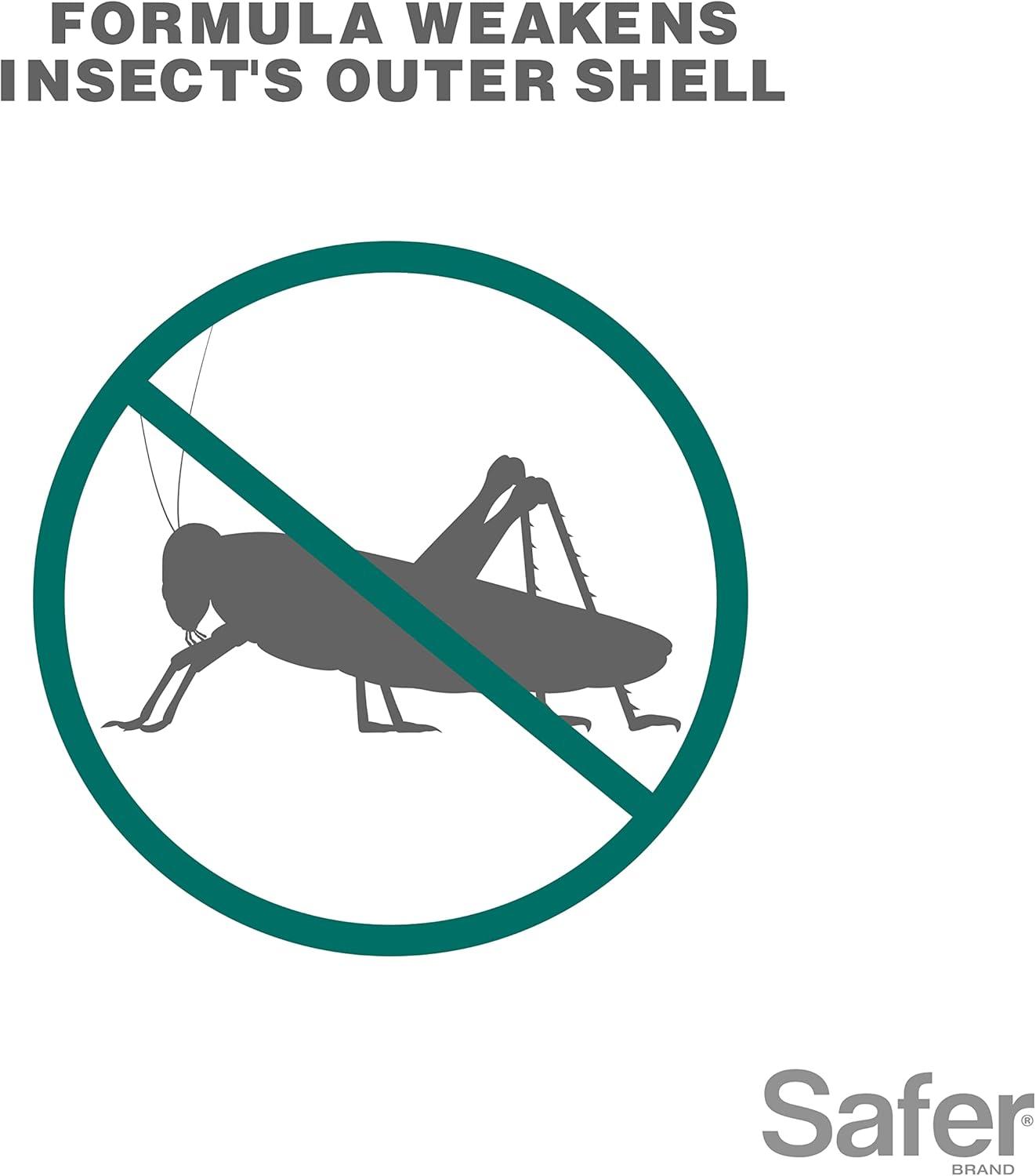 imageSafer 51186 Insect Killing Soap Concentrate  Insecticidal Soap for Plants  Kills Aphids Whiteflies Thrips Spider Mites and More  OMRI Listed for Organic Use