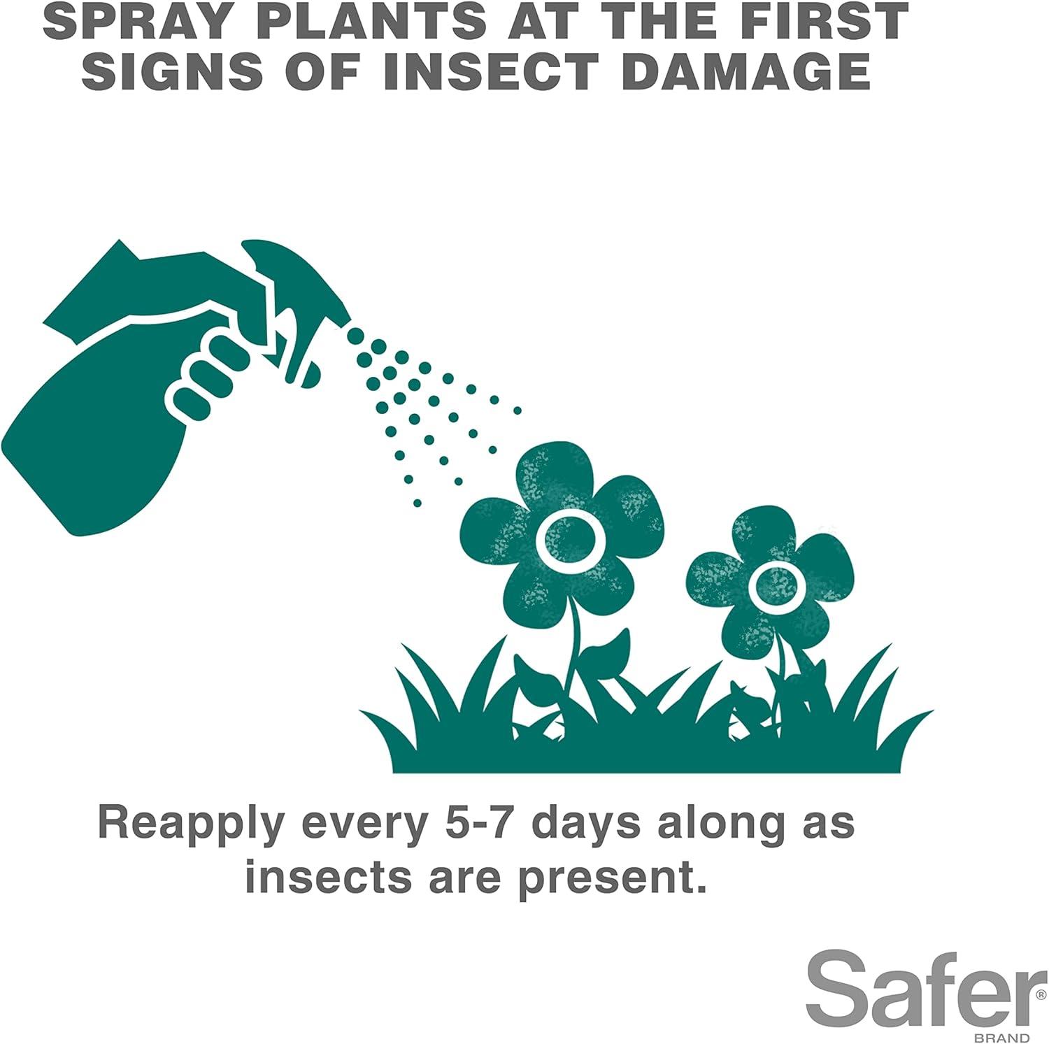 imageSafer 51186 Insect Killing Soap Concentrate  Insecticidal Soap for Plants  Kills Aphids Whiteflies Thrips Spider Mites and More  OMRI Listed for Organic Use  6 Pack