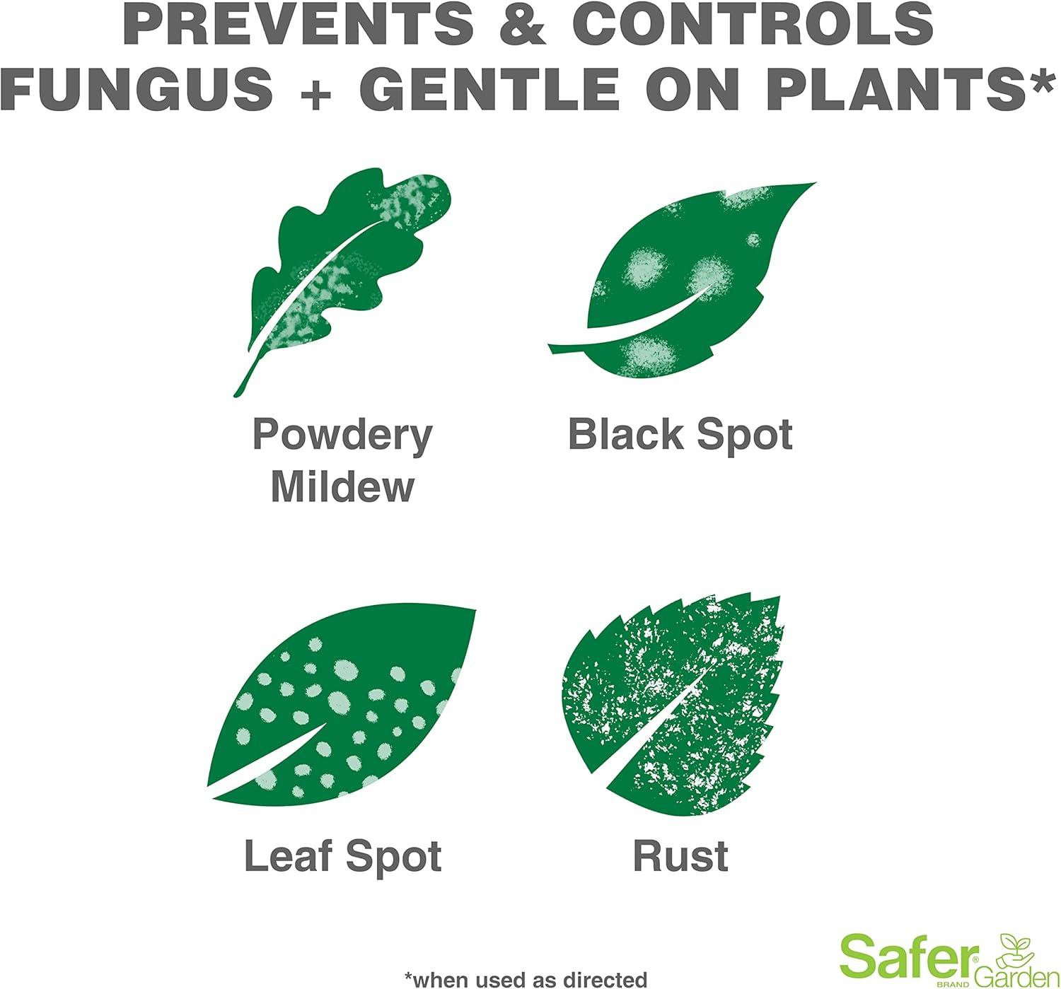 imageSafer Brand Garden SG5450 Fungicide ReadytoUse Spray  Prevents ampamp Controls Powdery Mildew Black Spot Leaf Spot ampamp Rust  OMRI Listed for Organic Gardening  24 oz