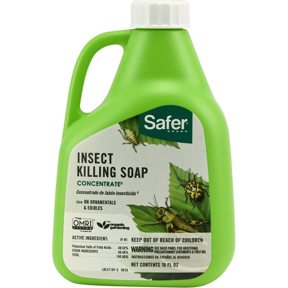imageSafer 51186 Insect Killing Soap Concentrate  Insecticidal Soap for Plants  Kills Aphids Whiteflies Thrips Spider Mites and More  OMRI Listed for Organic Use  6 Pack