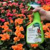 imageGarden Fungicide 32oz RTU by Safer Brand  6 pack 54506