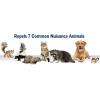 imageHavahart 3142 Critter Ridder Animal Repellent Granular Shaker 2Pound