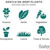 imageSafer 51186 Insect Killing Soap Concentrate  Insecticidal Soap for Plants  Kills Aphids Whiteflies Thrips Spider Mites and More  OMRI Listed for Organic Use