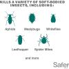 imageSafer 51186 Insect Killing Soap Concentrate  Insecticidal Soap for Plants  Kills Aphids Whiteflies Thrips Spider Mites and More  OMRI Listed for Organic Use