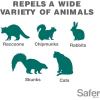 imageSafer 5929 Critter Ridder Animal Repellent Granules  Repels Raccoons Skunks Dogs Cats Chipmunks Squirrels ampamp Groundhogs  OMRI Listed for Organic Use  Protects up to 300 Sq Ft
