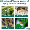 imageSafer Brand 5026 Houseplant Sticky Stake Insect Traps for Indoor Plants  Controls Fungus Gnats Whiteflies Midges Thrips Fruit Flies and Black Flies  1 Pack 7 TrapsInsect Traps