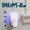imageSafer Home Indoor Plugin Fly Trap  SH5021R5SR  Effective Fruit Fly Traps for Indoors Gnat Traps for House Indoor 400 Sq Ft Protection  Style 1 Device  5 Glue Cards2 Devices  4 Glue Cards