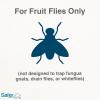 imageSafer Brand Home SH500 Indoor Fruit Fly Trap  ReadytoUse NonStaining No synthetic Insecticides1 Trap