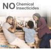 imageSafer Brand Home SH500 Indoor Fruit Fly Trap  ReadytoUse NonStaining No synthetic Insecticides1 Trap
