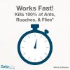 imageSafer Home SH111 Indoor Ant Roach Spider Fly Silverfish ampamp Flea Killer Aerosol Spray  CFC Free Aerosol Made with Natural Oils  1325 oz